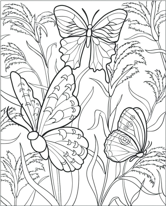 Flowers And Butterflies Coloring Pages Shippa.co 700x868 Flowers And Butterflies Coloring Pages Shippa.co
