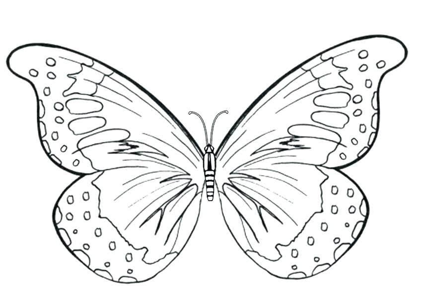 Simple Butterfly Coloring Pages 850x600 Simple Butterfly Coloring Pages