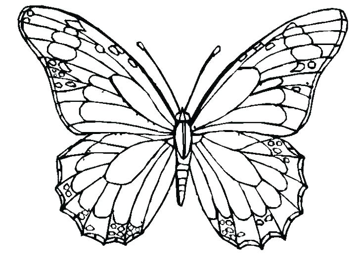 Butterfly Coloring Pages Butterfly Printable Coloring Pages Cute 736x536 Butterfly Coloring Pages Butterfly Printable Coloring Pages Cute
