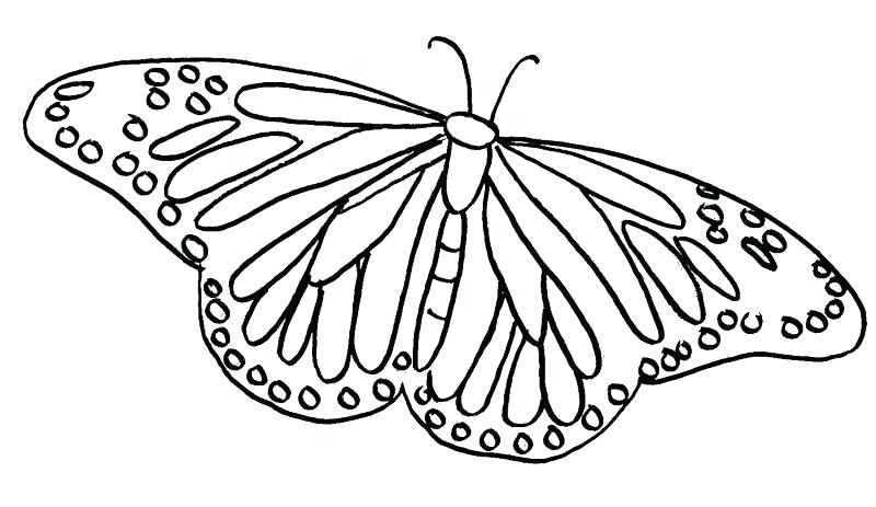Butterfly Coloring Pages For Adults Printable Butterfly Coloring 800x463 Butterfly Coloring Pages For Adults Printable Butterfly Coloring