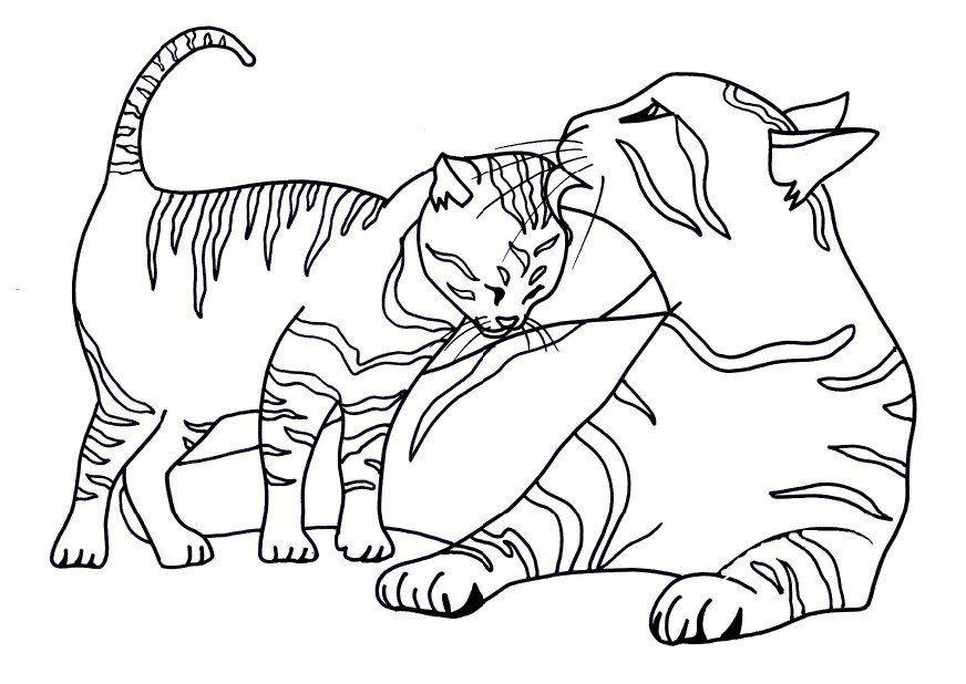 Images Of Cats To Colour Free Printable Cat Coloring Pages 872x618 Images Of Cats To Colour Free Printable Cat Coloring Pages