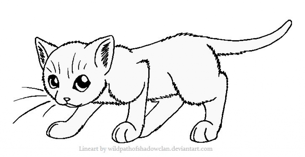 Cat Coloring Pages For Kids Cat Coloring Pages Printable Coloring 1024x528 Cat Coloring Pages For Kids Cat Coloring Pages Printable Coloring