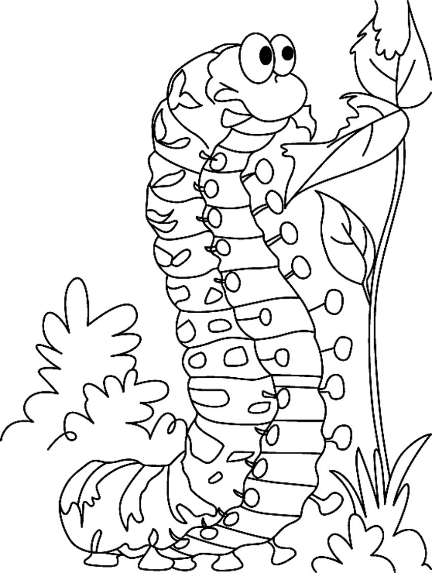 850x1127 Free Printable Caterpillar Coloring Pages From Caterpillar