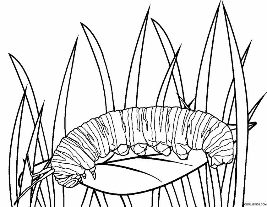 850x659 Printable Caterpillar Coloring Pages For Kids Cool2bkids