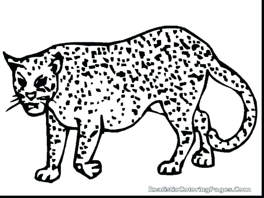 878x658 Cheetah Coloring Pages Cheetah Coloring Pages To Print Cheetah
