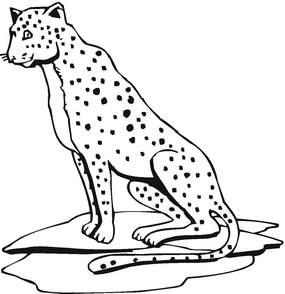 1161x1200 Free Printable Cheetah Coloring Pages For Kids