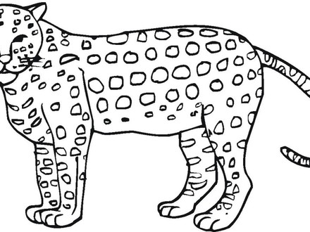 440x330 42 Cheetah Coloring Pages To Print, Printable Cheetah Coloring