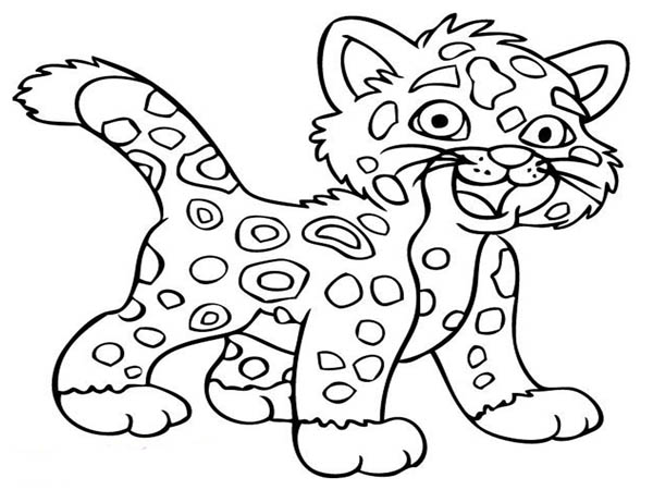 600x450 Cheetah Coloring Page