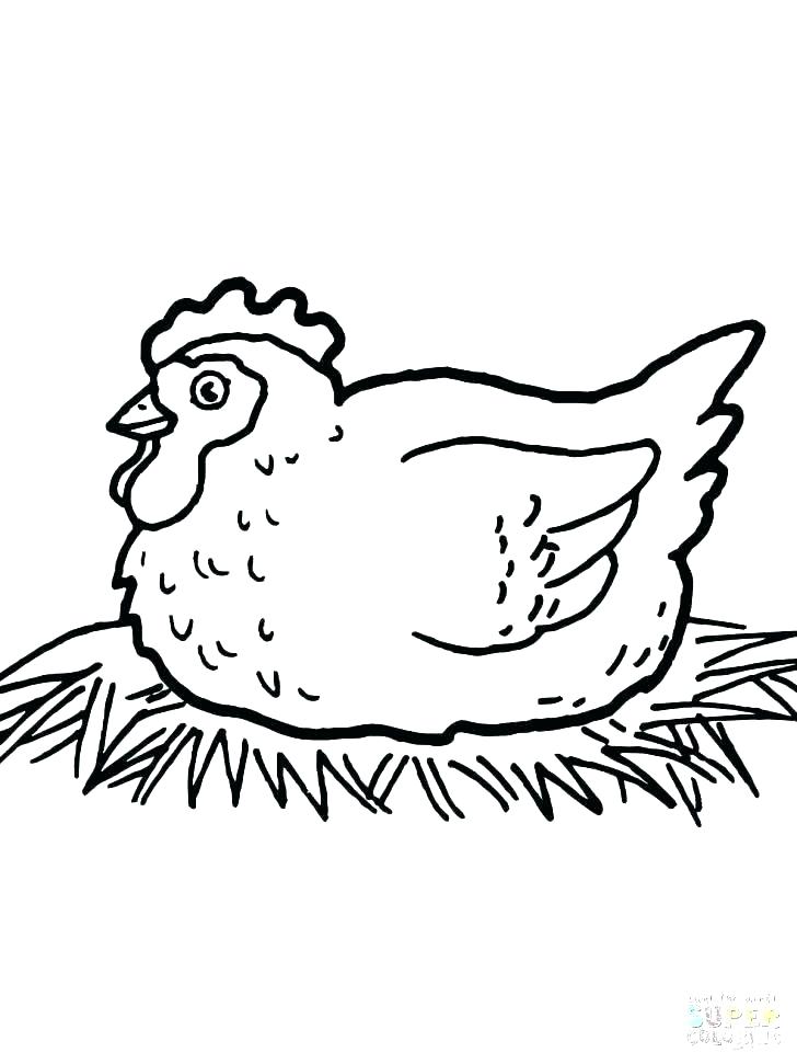 Coloring Page Chicken Chicken Coloring Page Hen Coloring Pages 728x971 Coloring Page Chicken Chicken Coloring Page Hen Coloring Pages