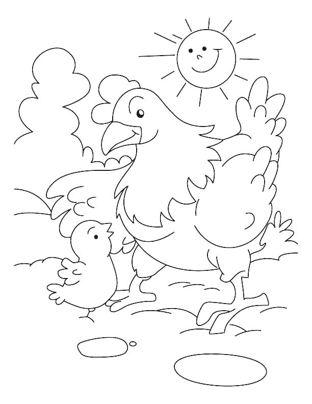 Coloring Pages Chickens Chicken Coloring Book Together 612x792 Coloring Pages Chickens Chicken Coloring Book Together