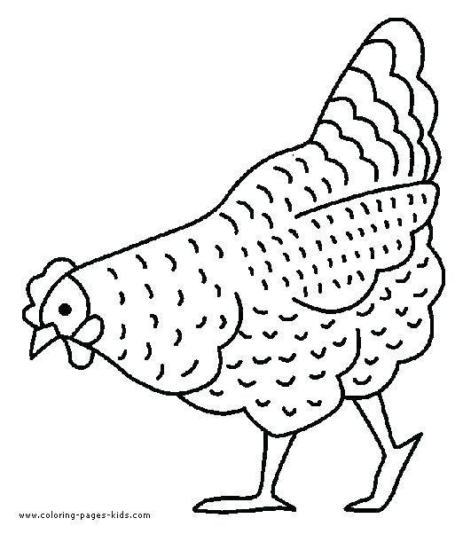 Free Chicken Colouring Pictures Printable Coloring Farm Project 522x602 Free Chicken Colouring Pictures Printable Coloring Farm Project