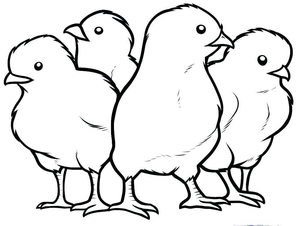 Baby Chick Coloring Pages Baby Chick Coloring Kids Colouring Pages 1022x768 Baby Chick Coloring Pages Baby Chick Coloring Kids Colouring Pages