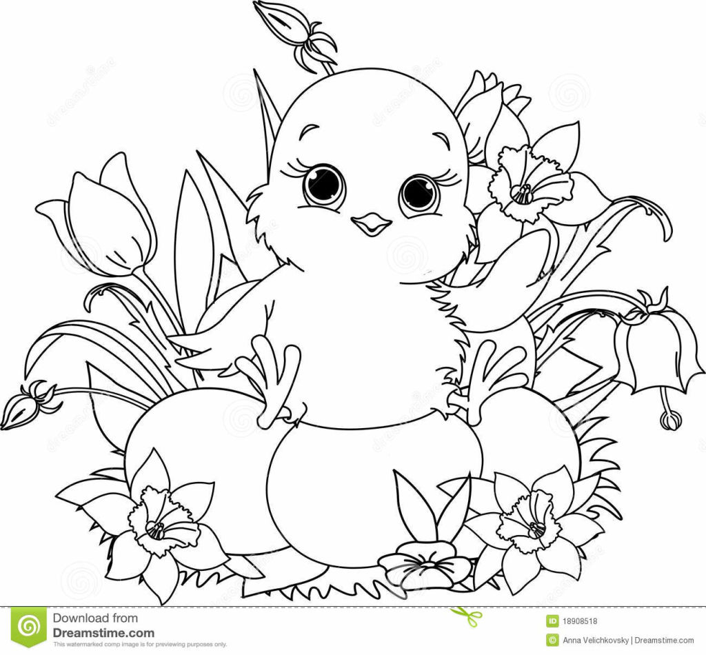 Chick Coloring Pages 1024x950 Chick Coloring Pages