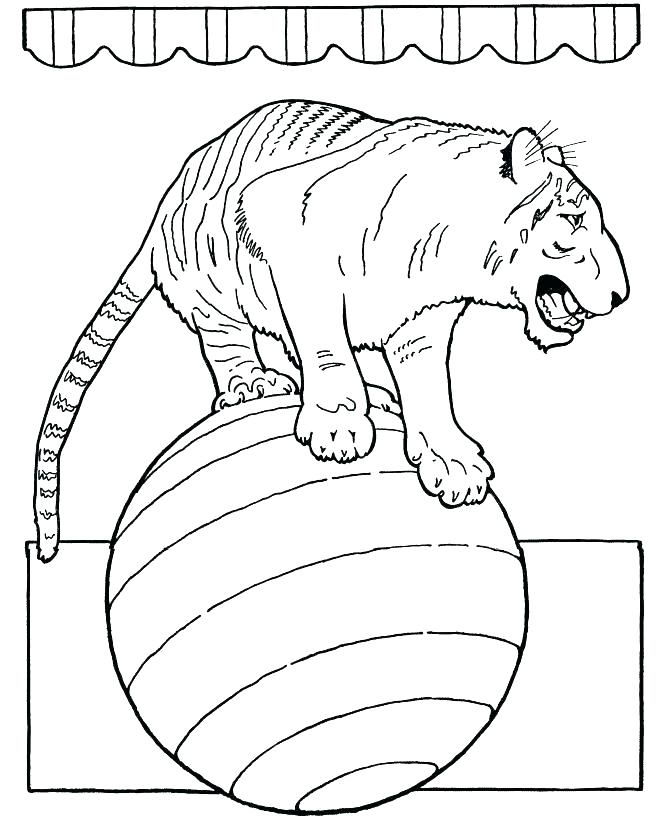 Circus Coloring Pages Printable Circus Animals Coloring Pages Free 670x820 Circus Coloring Pages Printable Circus Animals Coloring Pages Free