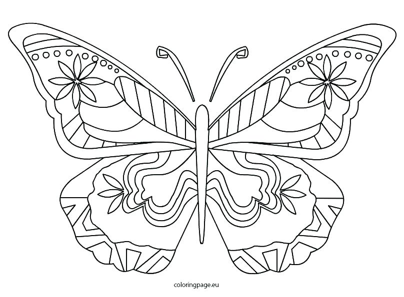 Coloring Book Butterfly Butterfly Coloring Book Together 808x595 Coloring Book Butterfly Butterfly Coloring Book Together