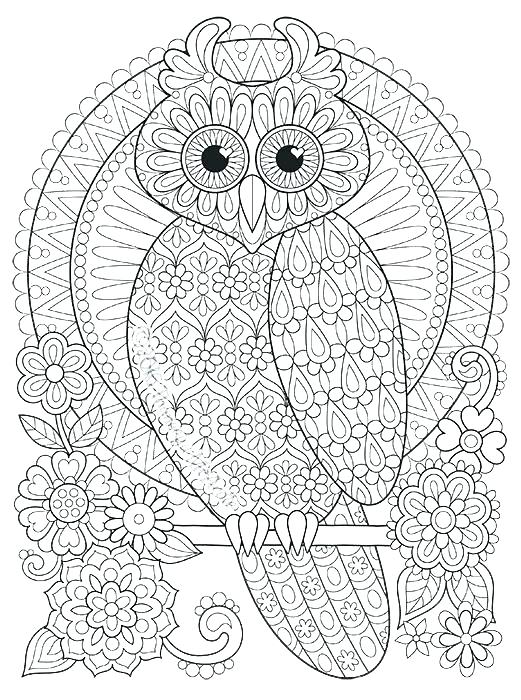 Owl Pictures Color Also Owl Coloring Cute Owl Coloring Pages 521x700 Owl Pictures Color Also Owl Coloring Cute Owl Coloring Pages