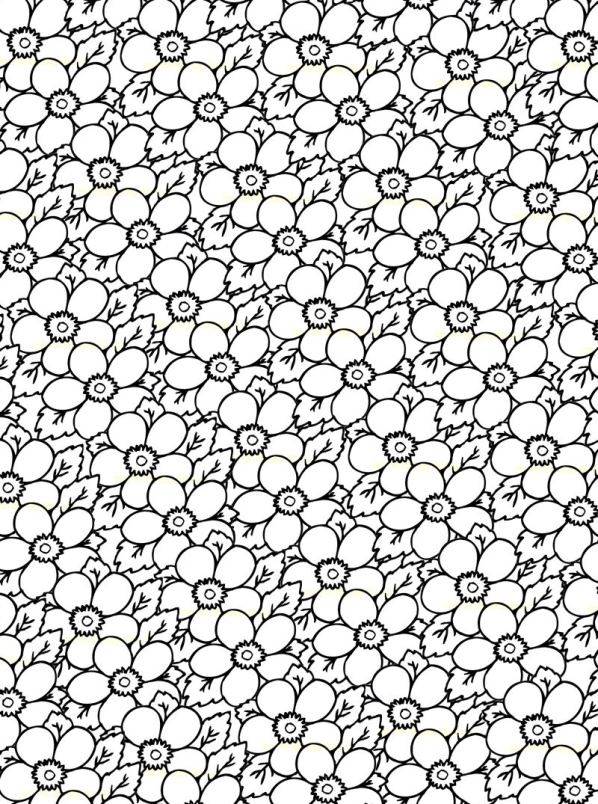 Eric Carle From Head To Toe Coloring Pages Certificate All 598x804 Eric Carle From Head To Toe Coloring Pages Certificate All