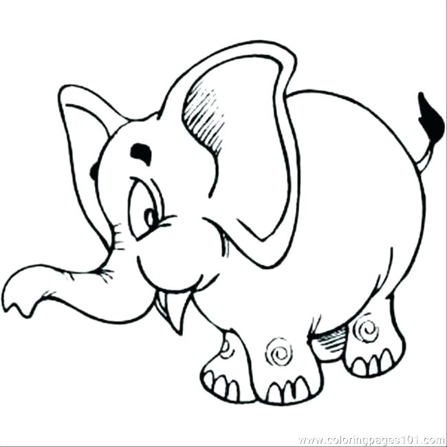 Colorama Coloring Book Elephant Kids Coloring Elephants Coloring 650x650 Colorama Coloring Book Elephant Kids Coloring Elephants Coloring