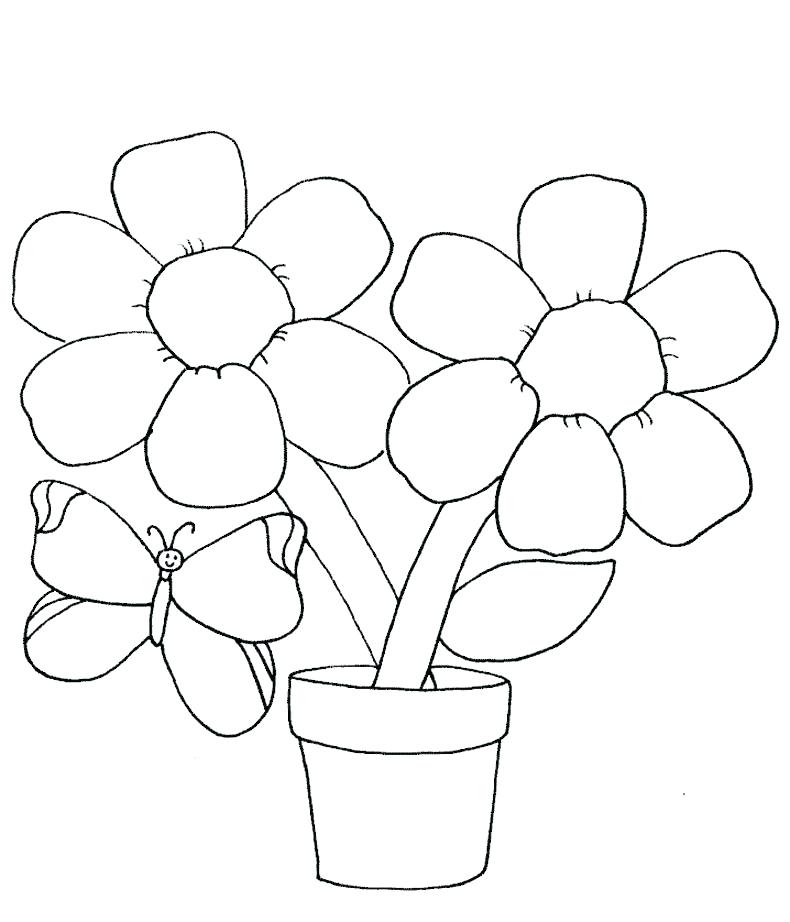 Coloring Pages Flowers Printable Printable Flower Coloring Pages 790x922 Coloring Pages Flowers Printable Printable Flower Coloring Pages