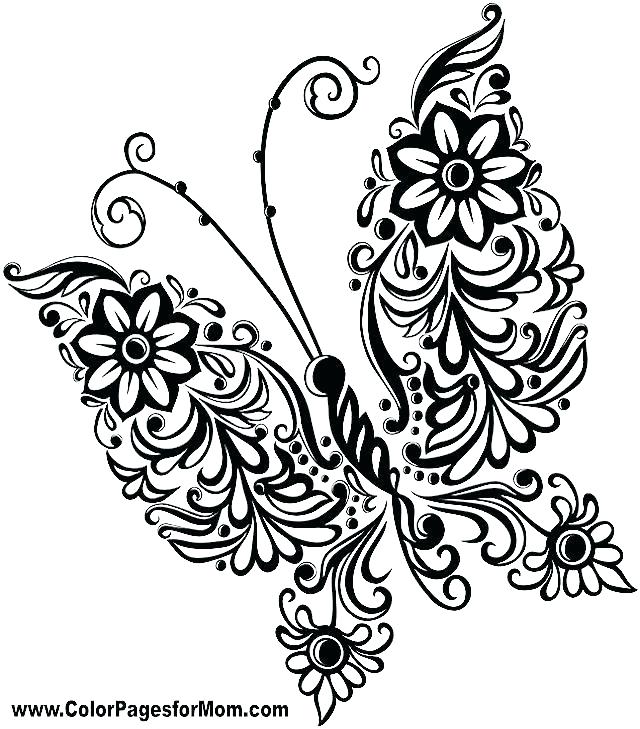Butterfly And Flower Coloring Pages Flowers And Butterflies 640x729 Butterfly And Flower Coloring Pages Flowers And Butterflies