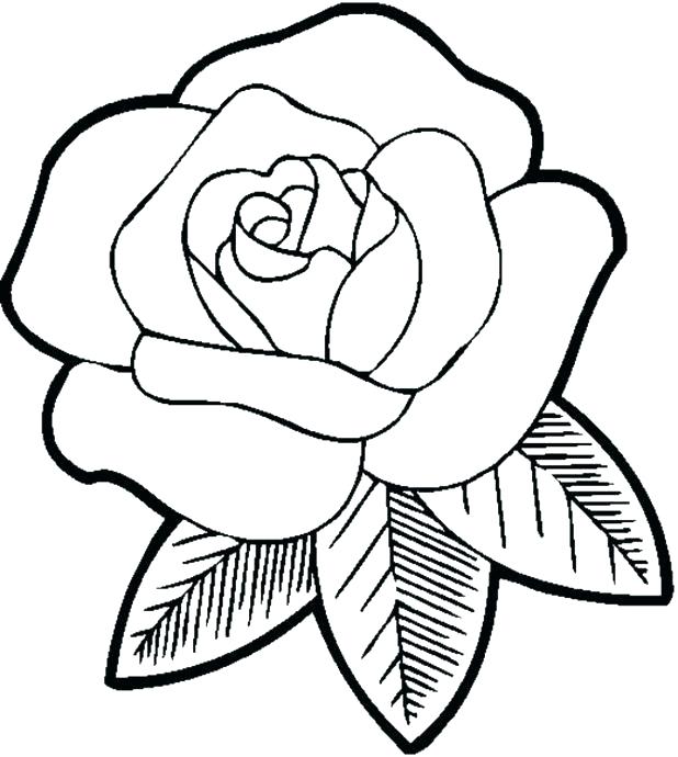 Free Coloring Pages Flowers And Butterflies Coloring For Kids Free 618x690 Free Coloring Pages Flowers And Butterflies Coloring For Kids Free