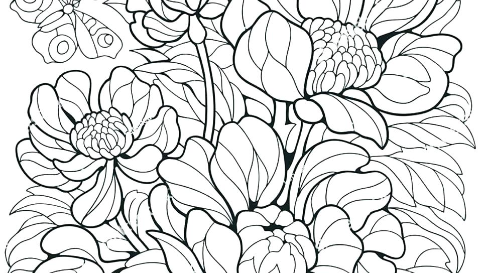 Butterfly Printable Coloring Pages Free Coloring Pages Flowers 960x544 Butterfly Printable Coloring Pages Free Coloring Pages Flowers