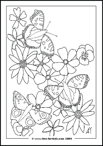 Coloring Pages Of Flowers And Butterflies 417x588 Coloring Pages Of Flowers And Butterflies