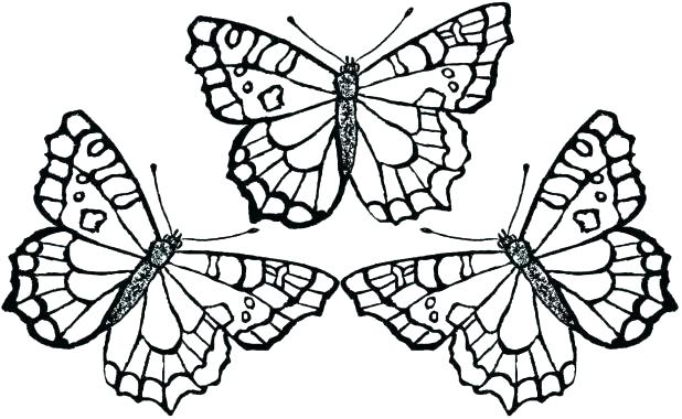 Printable Pictures Of Butterflies To Color 618x380 Printable Pictures Of Butterflies To Color