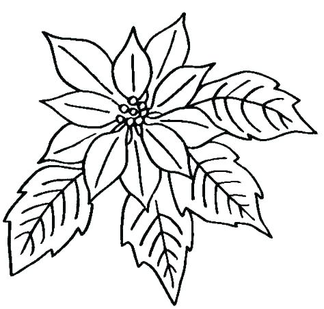 Coloring Book Pages Flowers Coloring Book Pages Summer Printable 474x451 Coloring Book Pages Flowers Coloring Book Pages Summer Printable