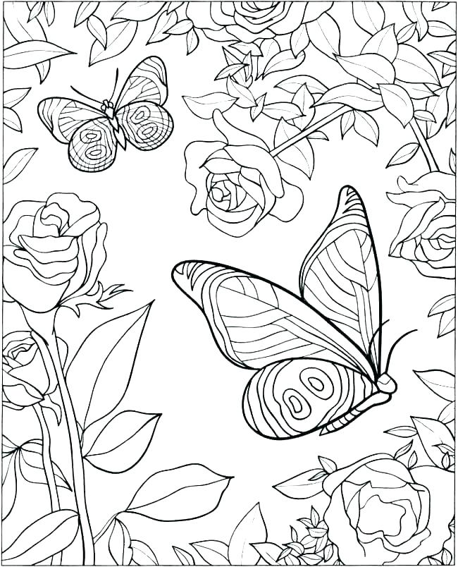650x804 Butterfly Coloring Pages For Adults Printable Difficult Coloring