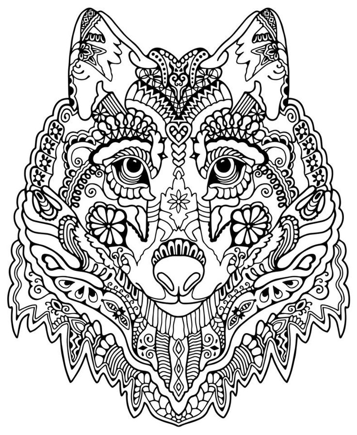 Detailed Animal Coloring Pages 736x896 Detailed Animal Coloring Pages
