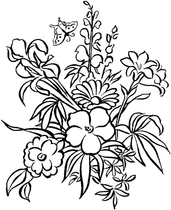 585x720 Coloring Pages Adults Flowers Free Printable Adult Coloring Pages