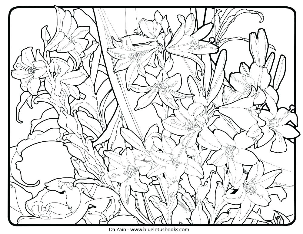 1000x773 Pattern Coloring Pages To Print Design Coloring Pages To Print