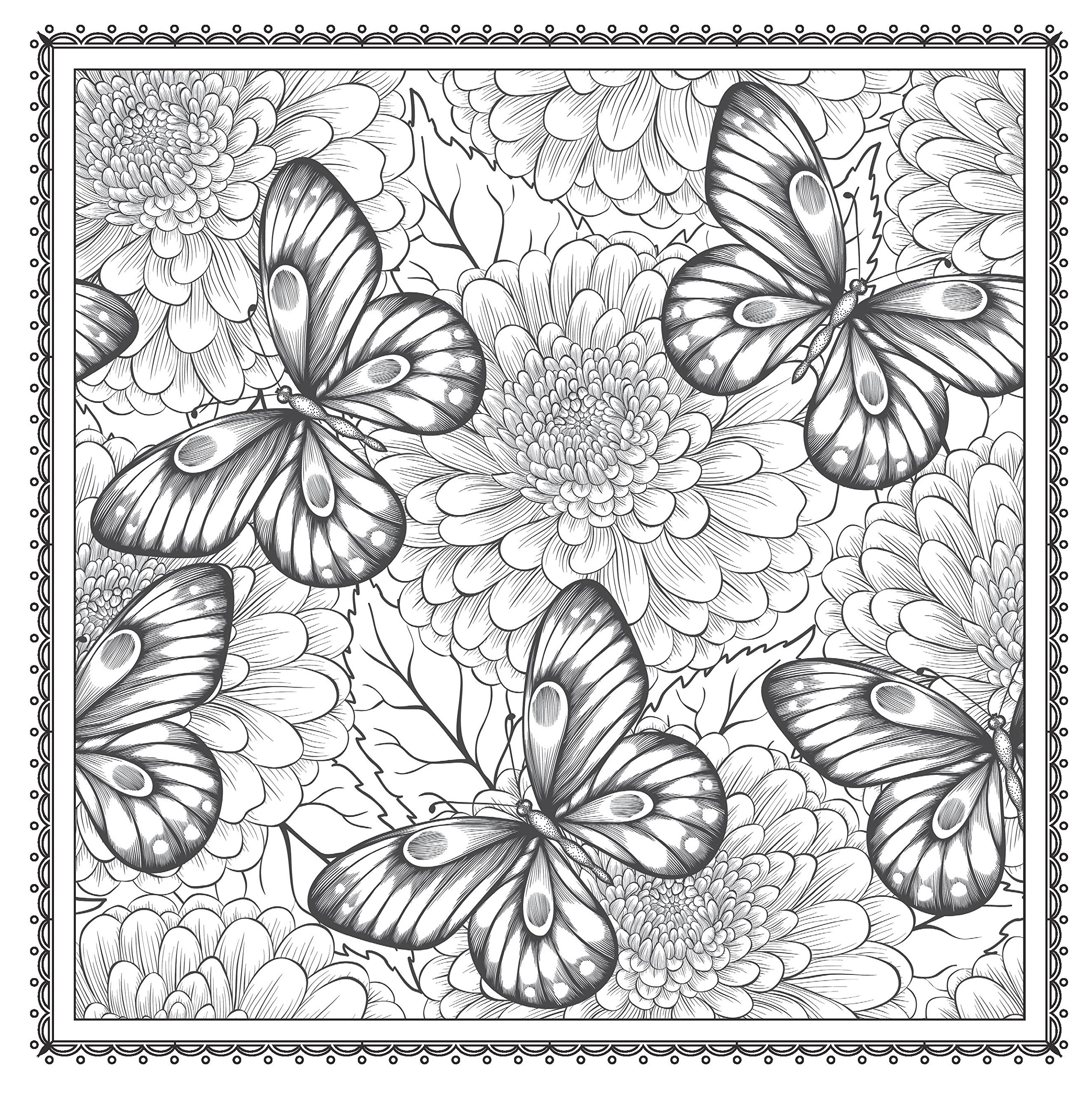 2551x2560 Adult Coloring Pages Butterfly With Patterns Free