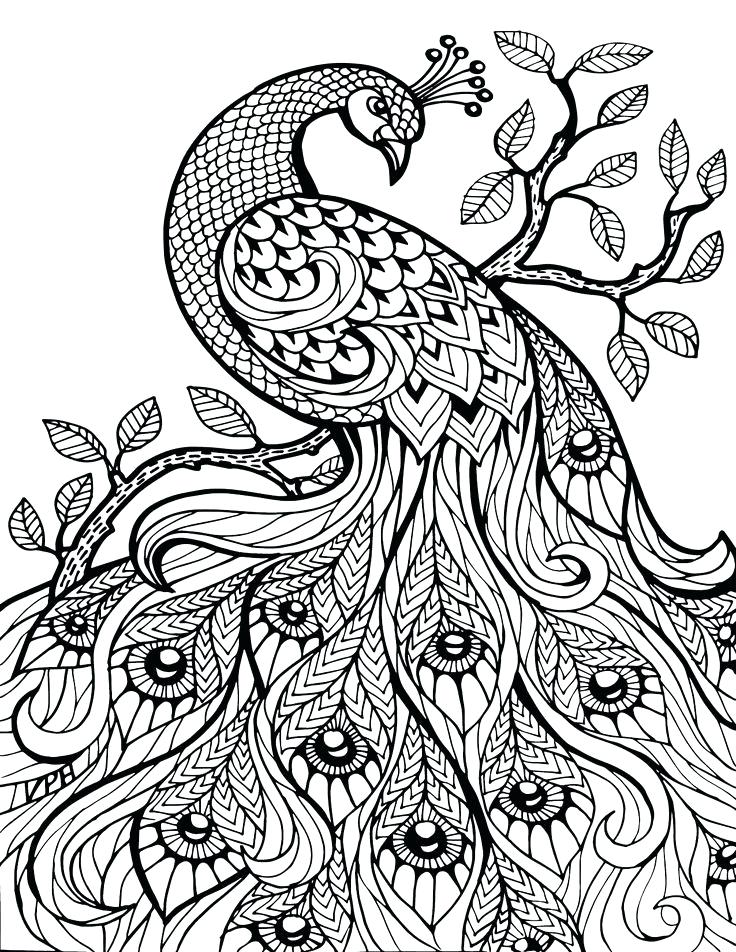 736x952 New Free Coloring Pages For Adults Printable Or Coloring Page