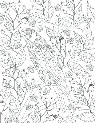 309x400 Printable Coloring Pages Adults Printable Coloring Pages Adults