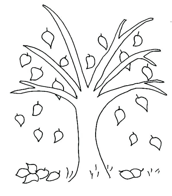 600x683 Big Leaf Coloring Pages Marvellous Leaf Printable Coloring Pages