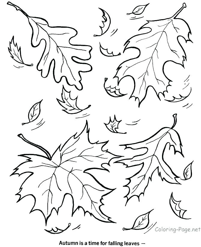 670x820 Coloring Pages For Kids Free Fall Coloring Pages Printable Kids