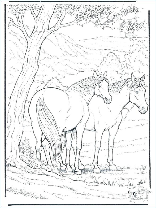 Barbie Horse Coloring Page Coloring Horse Free Coloring Pages 660x880 Barbie Horse Coloring Page Coloring Horse Free Coloring Pages