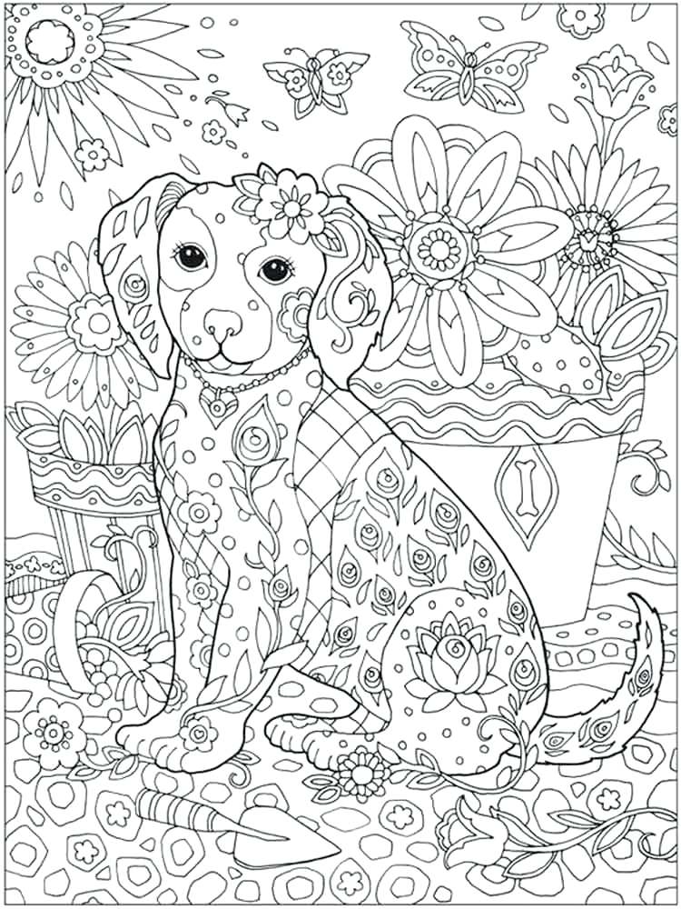 Intricate Coloring Pages Animals Copy Detailed Adult Animal 750x1000 Intricate Coloring Pages Animals Copy Detailed Adult Animal