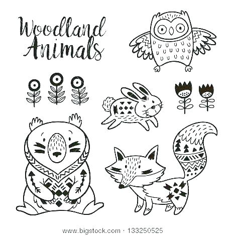 Animal Coloring Book For Kids Owl Coloring Sheets Printable 450x470 Animal Coloring Book For Kids Owl Coloring Sheets Printable
