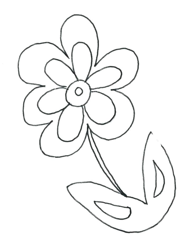 720x940 Daisy Flower Coloring Pages Blooming Daisy Flower Coloring Page