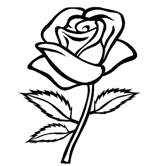 554x565 Flower Coloring Pages Printables Coloring Pages Flowers