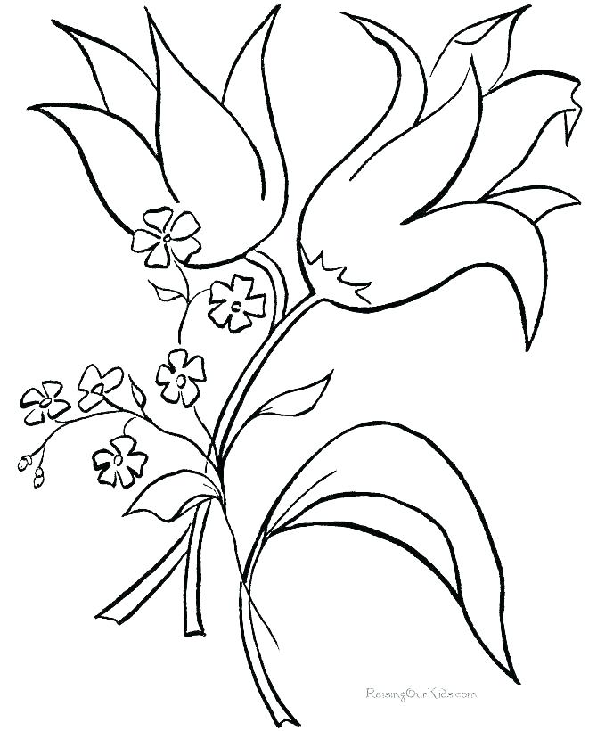 670x820 Flowers Coloring Pages Printable Flowers Coloring Pages