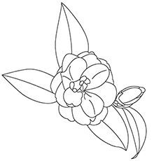 230x230 Top 25 Free Printable Flowers Coloring Pages Online