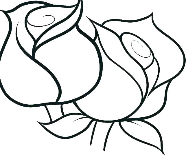 643x535 Hawaiian Flower Coloring Pages