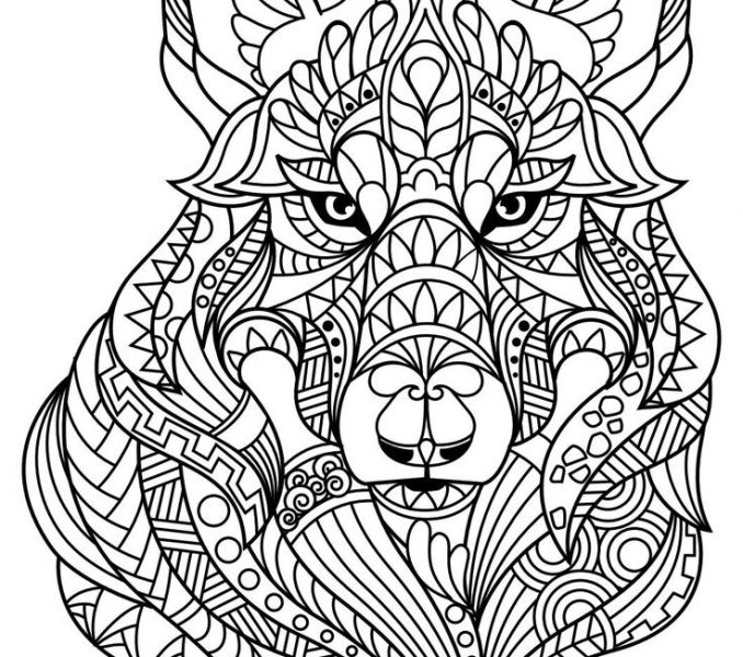678x600 Animal Coloring Pages Pdf Free Coloring Page