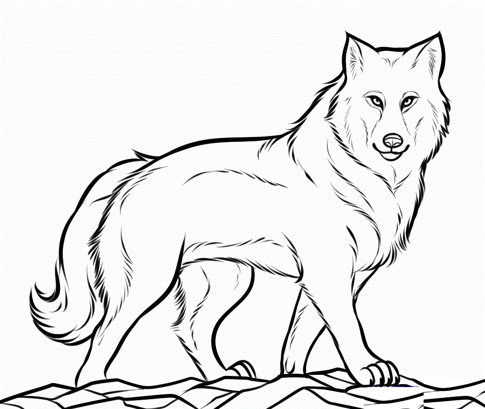 995x839 Printable Coloring Pages Of Wolves Get Bubbles