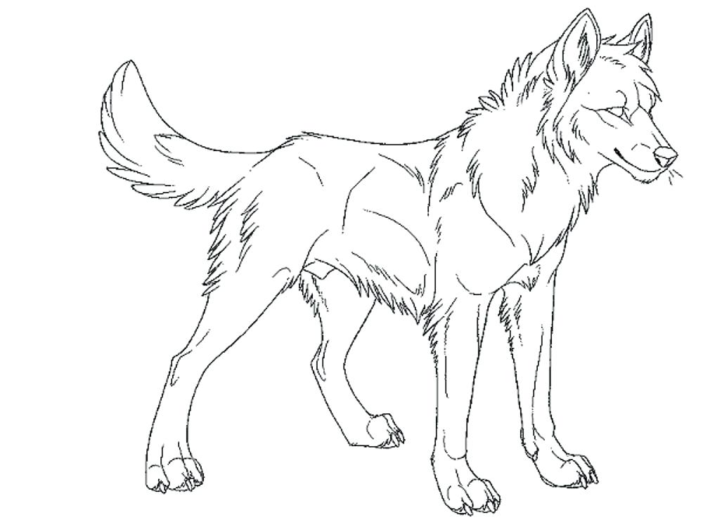 1000x750 Wolf Coloring Pages Shop Related Products Anime Wolf Printable