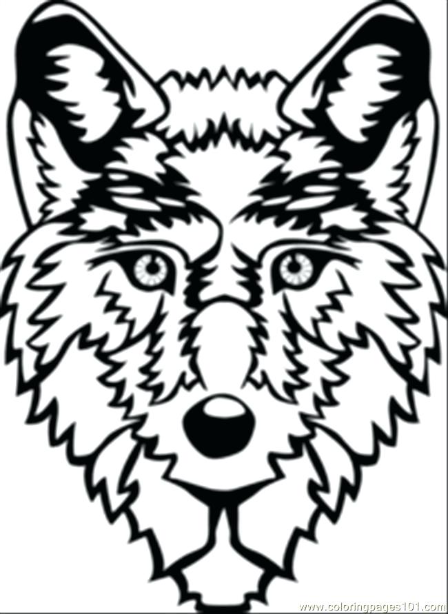 650x891 Wolf Head Coloring Page Free Wolf Coloring Pages Wolf Head